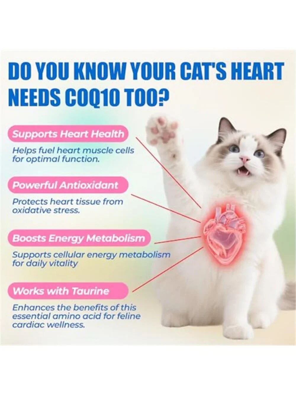 CoQ10 & Taurine Cat Treats, 300 Ct - E